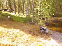 /album/ilpo/whoo13-308-jpg/